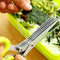 Multilayer Kitchen Scissors